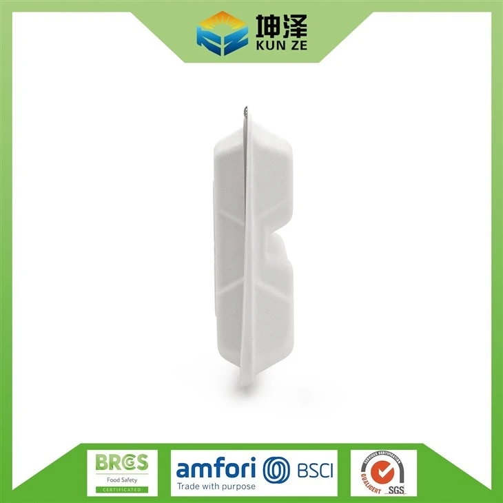 Bagasse Food Box