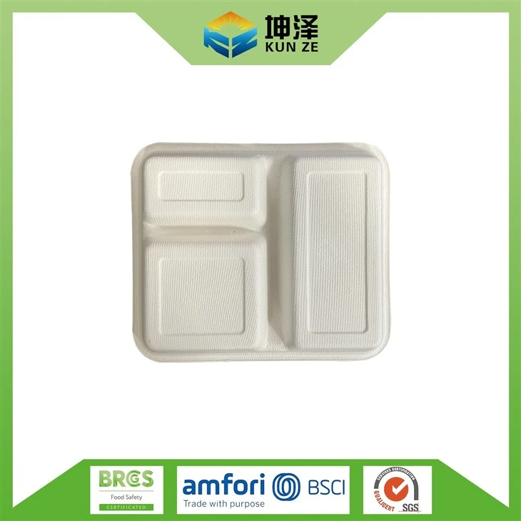 Biodegradable 3 Compartment Container