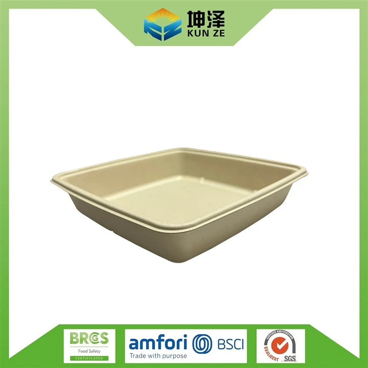 Lunch Tray With Lid
