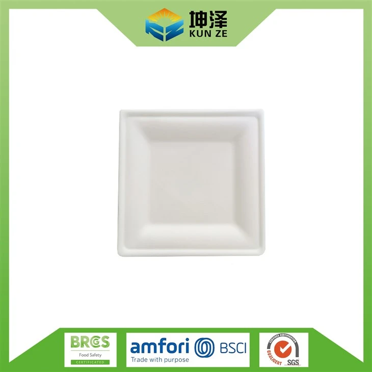 Small Square Paper Plates