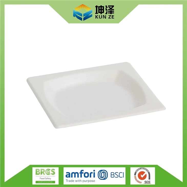 White Square Dishes