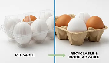 Miksi älykkäät munantuottajat luopuvat muovista: raaka 2026 vertailu