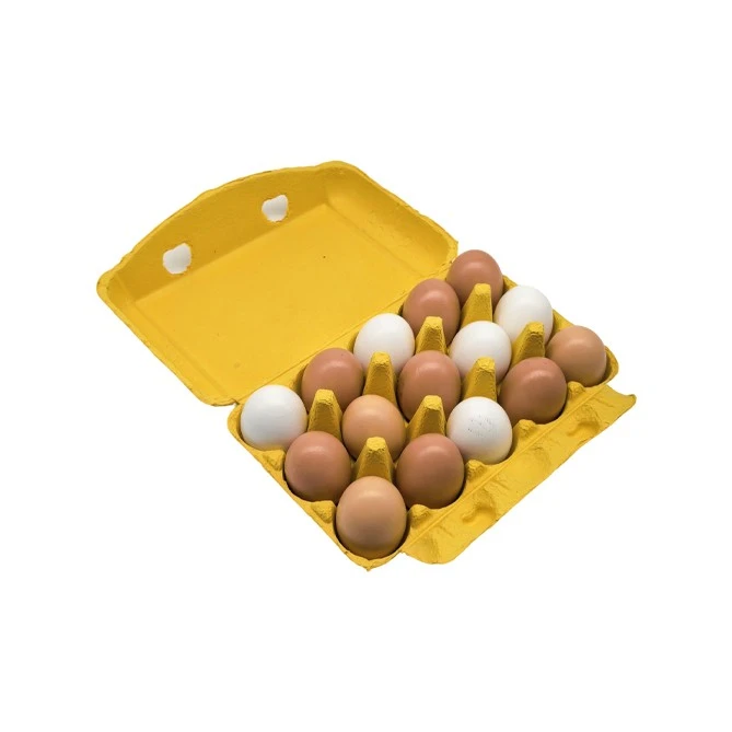 Yellow Egg Cartons best